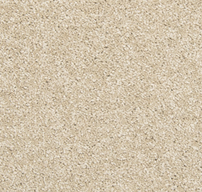 Bleached Almond Swatch