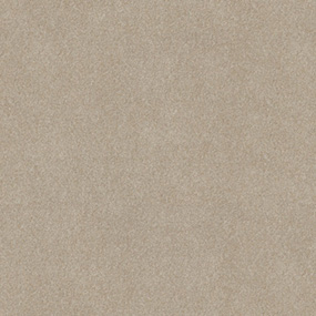 Practical Beige Swatch