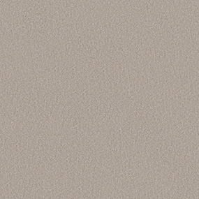 Silence Swatch Thumbnail