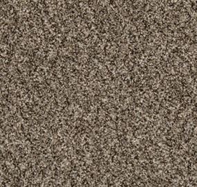 Shimmer Ash Swatch Thumbnail