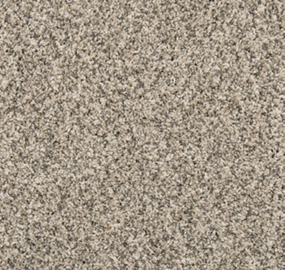 Silver Dollar Swatch Thumbnail