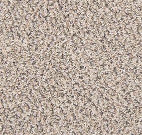 Silver Dollar Swatch Thumbnail