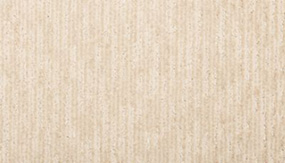 Seashell Swatch Thumbnail